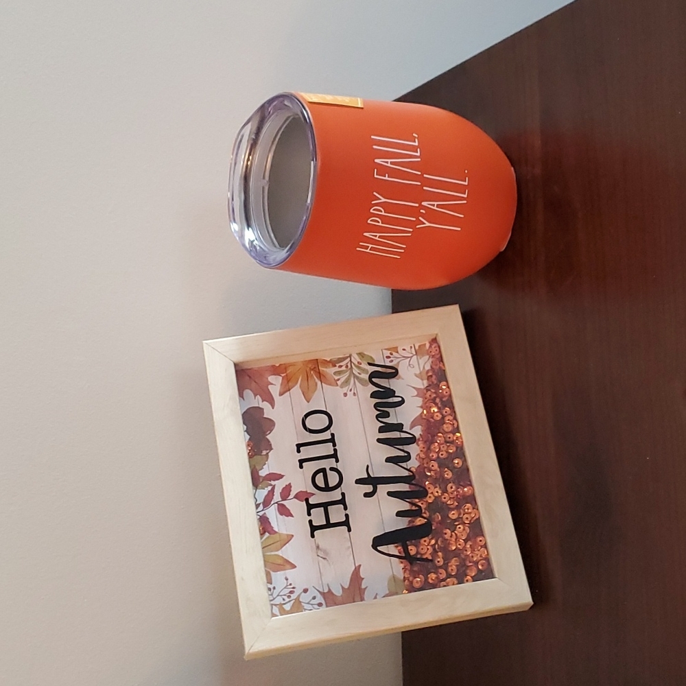 Rae Dunn Insulated Stainless Steel Wine Glass Happy Fall Y'All Orange